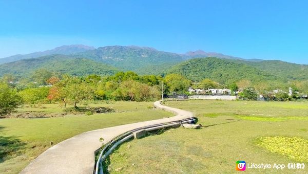 【香港行山好去處】輕鬆去「清幽海邊村落」⁉️絕美沿海路線😻勁多打卡位📸牛牛樂園🐃尋紅葉🍁