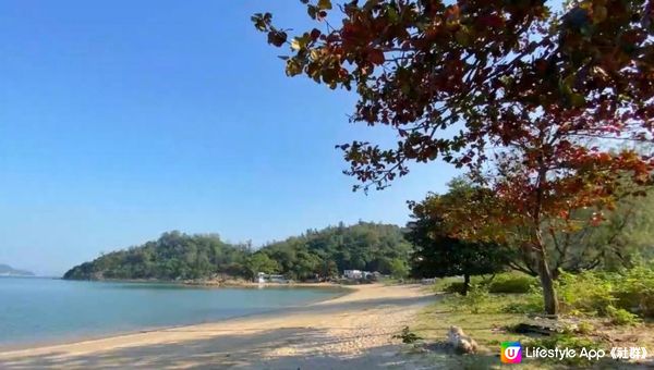 【香港行山好去處】輕鬆去「清幽海邊村落」⁉️絕美沿海路線😻勁多打卡位📸牛牛樂園🐃尋紅葉🍁