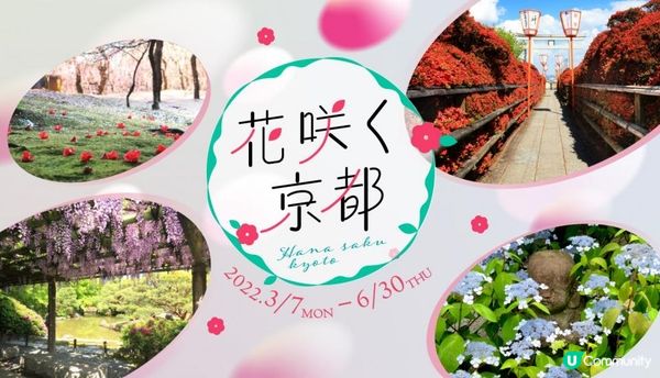 春暖花開的好季節，來一場花之旅吧