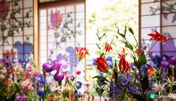 春暖花開的好季節，來一場花之旅吧