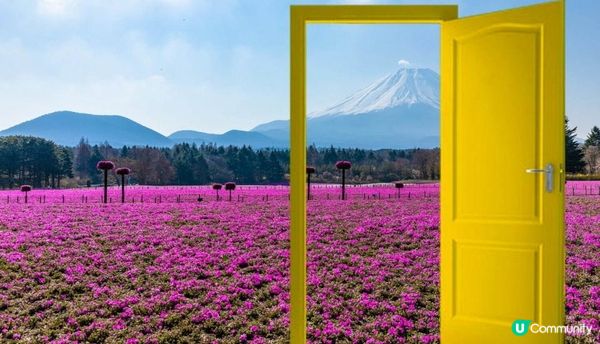 春暖花開的好季節，來一場花之旅吧