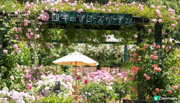 春暖花開的好季節，來一場花之旅吧