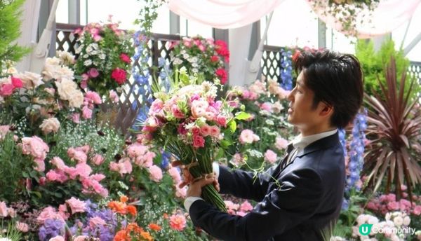 春暖花開的好季節，來一場花之旅吧