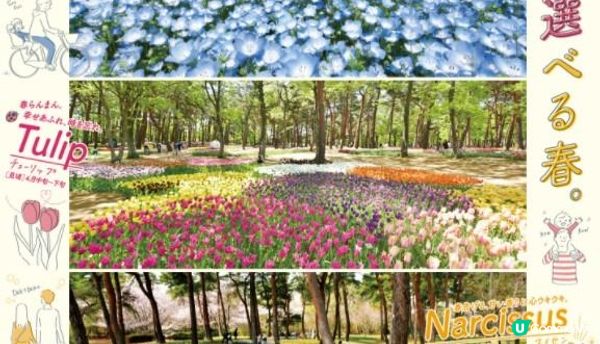 春暖花開的好季節，來一場花之旅吧