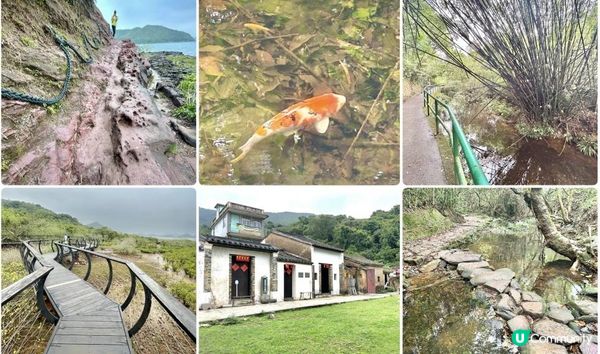 3小時舒爽遠足｜印洲塘郊遊徑｜迎接初夏路線：烏蛟騰 > 九担租 > 上、下苗田 > 三椏涌 > 荔枝窩⛴️