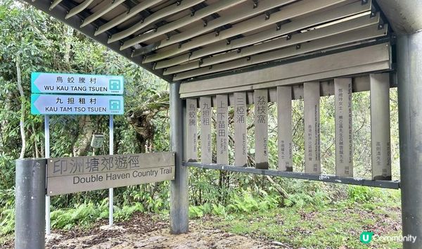 3小時舒爽遠足｜印洲塘郊遊徑｜迎接初夏路線：烏蛟騰 > 九担租 > 上、下苗田 > 三椏涌 > 荔枝窩⛴️