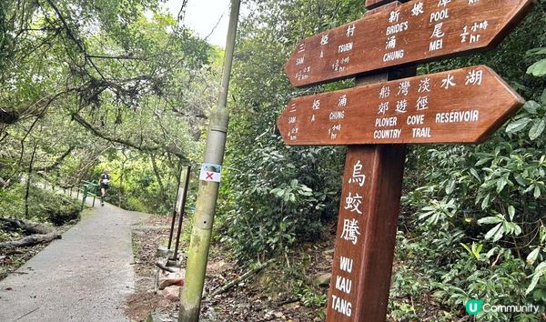 3小時舒爽遠足｜印洲塘郊遊徑｜迎接初夏路線：烏蛟騰 > 九担租 > 上、下苗田 > 三椏涌 > 荔枝窩⛴️