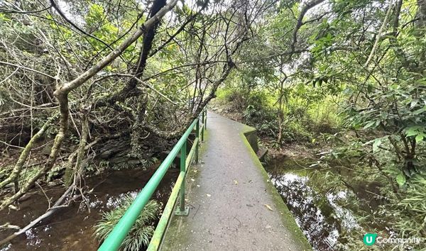 3小時舒爽遠足｜印洲塘郊遊徑｜迎接初夏路線：烏蛟騰 > 九担租 > 上、下苗田 > 三椏涌 > 荔枝窩⛴️