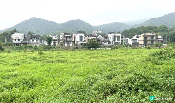 3小時舒爽遠足｜印洲塘郊遊徑｜迎接初夏路線：烏蛟騰 > 九担租 > 上、下苗田 > 三椏涌 > 荔枝窩⛴️