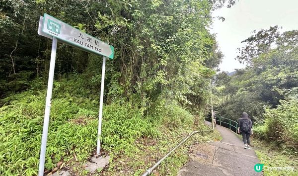 3小時舒爽遠足｜印洲塘郊遊徑｜迎接初夏路線：烏蛟騰 > 九担租 > 上、下苗田 > 三椏涌 > 荔枝窩⛴️