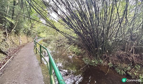 3小時舒爽遠足｜印洲塘郊遊徑｜迎接初夏路線：烏蛟騰 > 九担租 > 上、下苗田 > 三椏涌 > 荔枝窩⛴️