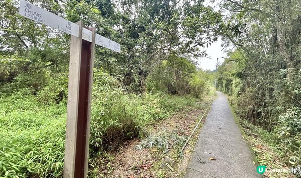 3小時舒爽遠足｜印洲塘郊遊徑｜迎接初夏路線：烏蛟騰 > 九担租 > 上、下苗田 > 三椏涌 > 荔枝窩⛴️