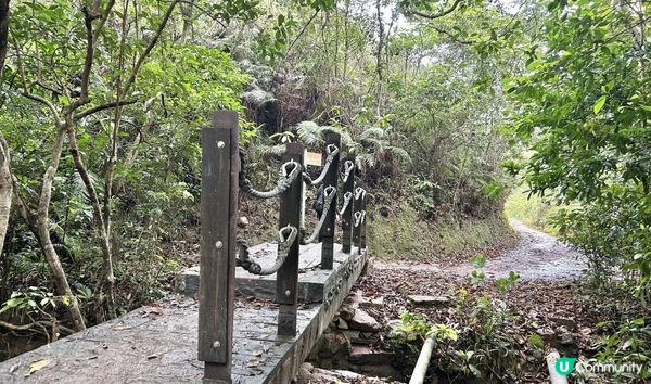 3小時舒爽遠足｜印洲塘郊遊徑｜迎接初夏路線：烏蛟騰 > 九担租 > 上、下苗田 > 三椏涌 > 荔枝窩⛴️
