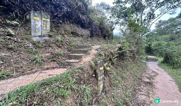 3小時舒爽遠足｜印洲塘郊遊徑｜迎接初夏路線：烏蛟騰 > 九担租 > 上、下苗田 > 三椏涌 > 荔枝窩⛴️