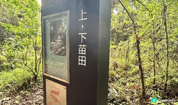 3小時舒爽遠足｜印洲塘郊遊徑｜迎接初夏路線：烏蛟騰 > 九担租 > 上、下苗田 > 三椏涌 > 荔枝窩⛴️