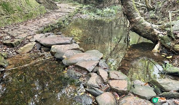 3小時舒爽遠足｜印洲塘郊遊徑｜迎接初夏路線：烏蛟騰 > 九担租 > 上、下苗田 > 三椏涌 > 荔枝窩⛴️