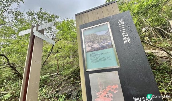 3小時舒爽遠足｜印洲塘郊遊徑｜迎接初夏路線：烏蛟騰 > 九担租 > 上、下苗田 > 三椏涌 > 荔枝窩⛴️