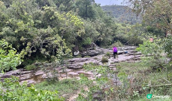 3小時舒爽遠足｜印洲塘郊遊徑｜迎接初夏路線：烏蛟騰 > 九担租 > 上、下苗田 > 三椏涌 > 荔枝窩⛴️