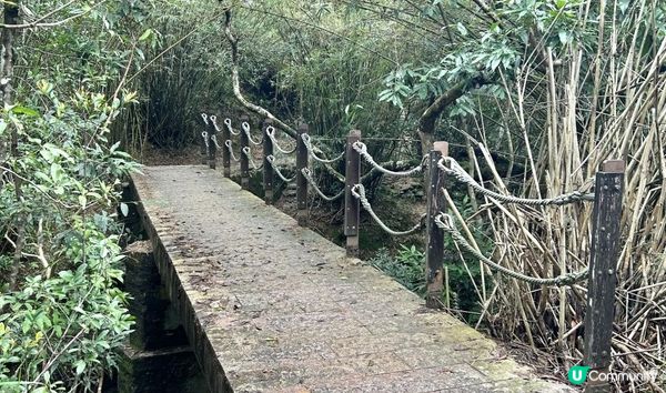 3小時舒爽遠足｜印洲塘郊遊徑｜迎接初夏路線：烏蛟騰 > 九担租 > 上、下苗田 > 三椏涌 > 荔枝窩⛴️