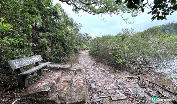 3小時舒爽遠足｜印洲塘郊遊徑｜迎接初夏路線：烏蛟騰 > 九担租 > 上、下苗田 > 三椏涌 > 荔枝窩⛴️