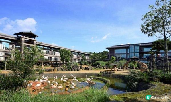 【六福村住宿】Top3六福村飯店，媽媽們狂推薦！