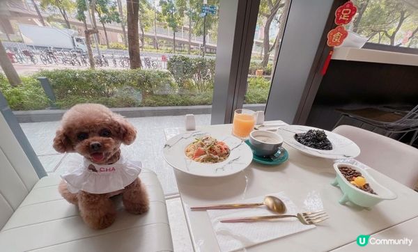 室內🐶友善餐廳@天水圍