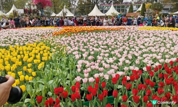 學校親子參觀~2023香港花卉展覽