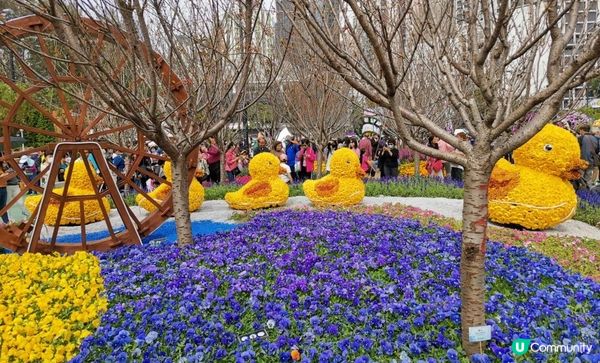 學校親子參觀~2023香港花卉展覽