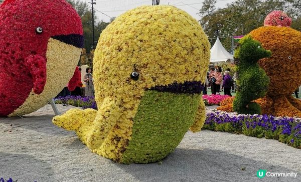 學校親子參觀~2023香港花卉展覽