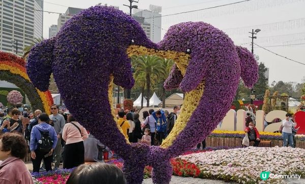 學校親子參觀~2023香港花卉展覽