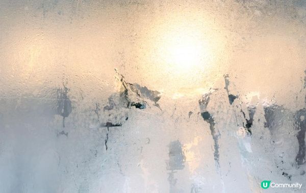 保鮮花的養護秘訣：如何讓它們保持最佳狀態？