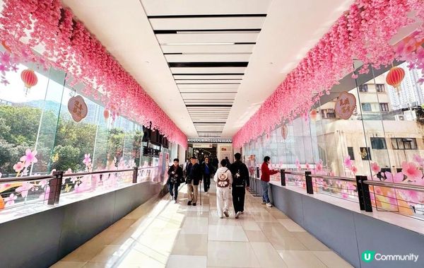 恒基地產旗下四大商場 : 金蛇獻瑞迎新春「花悅禮遇」消費奬賞限定「花悅迎春」利是封套裝