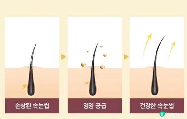 個個女仔都想睫毛長、密、濃！🇰🇷韓國睫毛營養強韌增長精華 Dr+ Banggiwon Nourishing Serum for Lash & Brow