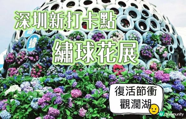 深圳新打卡點｜觀瀾湖繡球花展開放！復活節出發啦