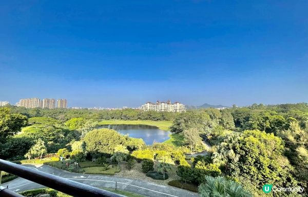 深圳新打卡點｜觀瀾湖繡球花展開放！復活節出發啦