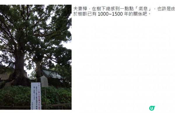 九洲之門@淺嘗福岡(一-二) - 太宰府