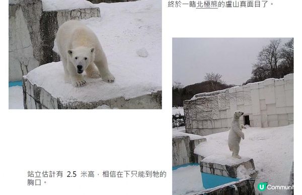 踏冰飄雪@海道銀城(七) - 雪中動物園