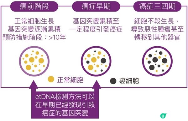【腫瘤檢測】MRI 能不能查到腫瘤？邊種情況適用？