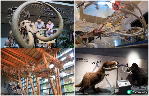 【台南親子景點】45個台南適合遛孩子的好玩景點