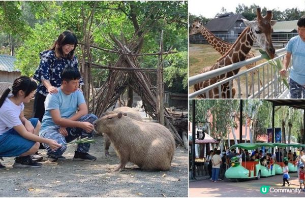 【台南親子景點】45個台南適合遛孩子的好玩景點