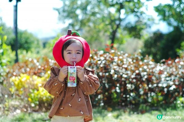 媽媽安心之選｜HIPP有機活泉水蘋果汁｜100%有機蘋果汁+天然活泉水｜專為BB調配既first juice｜減低蛀牙&嗜甜