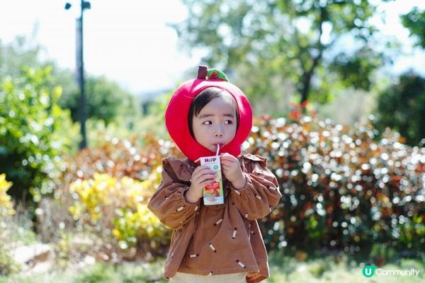媽媽安心之選｜HIPP有機活泉水蘋果汁｜100%有機蘋果汁+天然活泉水｜專為BB調配既first juice｜減低蛀牙&嗜甜