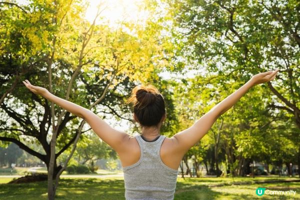 打造安心與美感兼具的居家空間