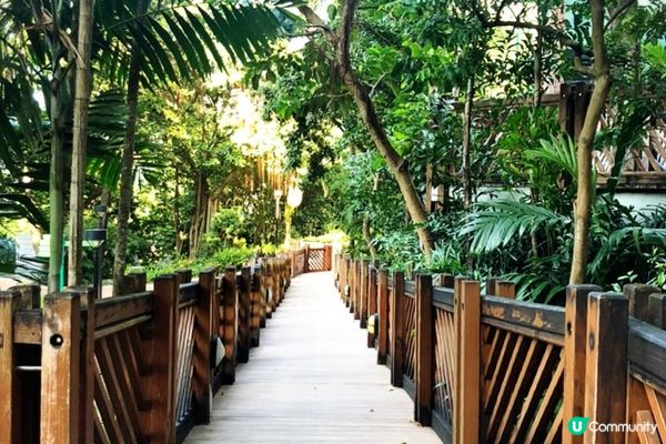 九十年代落成的香港公園盛極一時，曾經陪伴不少香港人長大。那大...