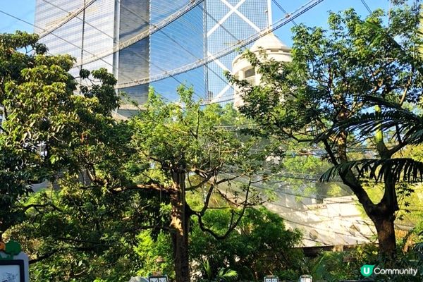 九十年代落成的香港公園盛極一時，曾經陪伴不少香港人長大。那大...