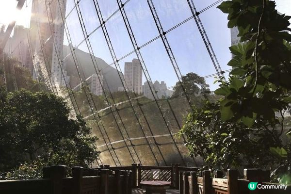 九十年代落成的香港公園盛極一時，曾經陪伴不少香港人長大。那大...