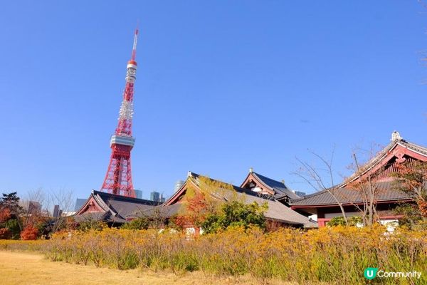 【思思賢嘆世界】東京必去紅葉景點推介1️⃣芝公園