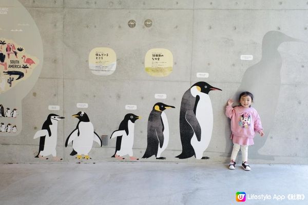 日本福岡親子自由行2023｜親子行程景點推介｜Day3 | 福岡市動物園 ｜福岡市內｜交通方便