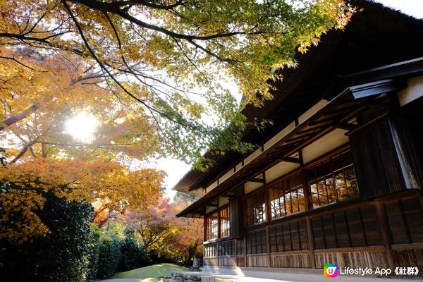 【思思賢嘆世界】橫濱必去紅葉景點推介🍁三溪園