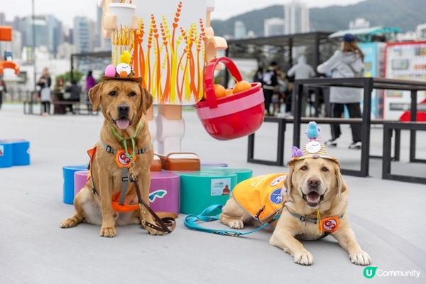 《維港復活節帽子巡遊2024》